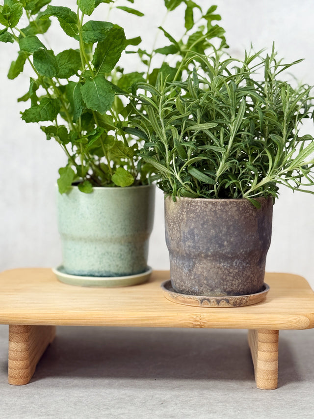 NEXØ Herb Pot - Granite