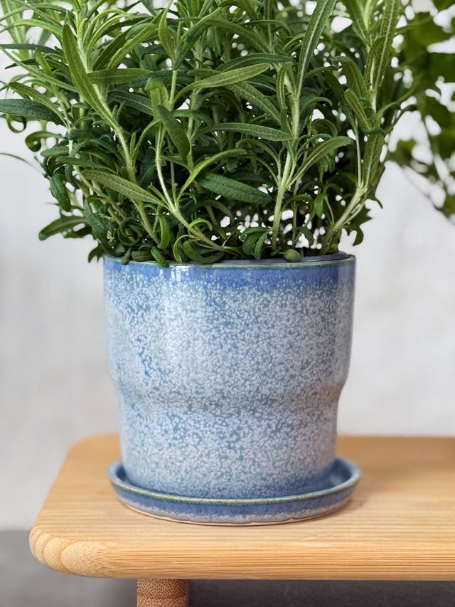 NEXØ Herb Pot - Baltic Blue